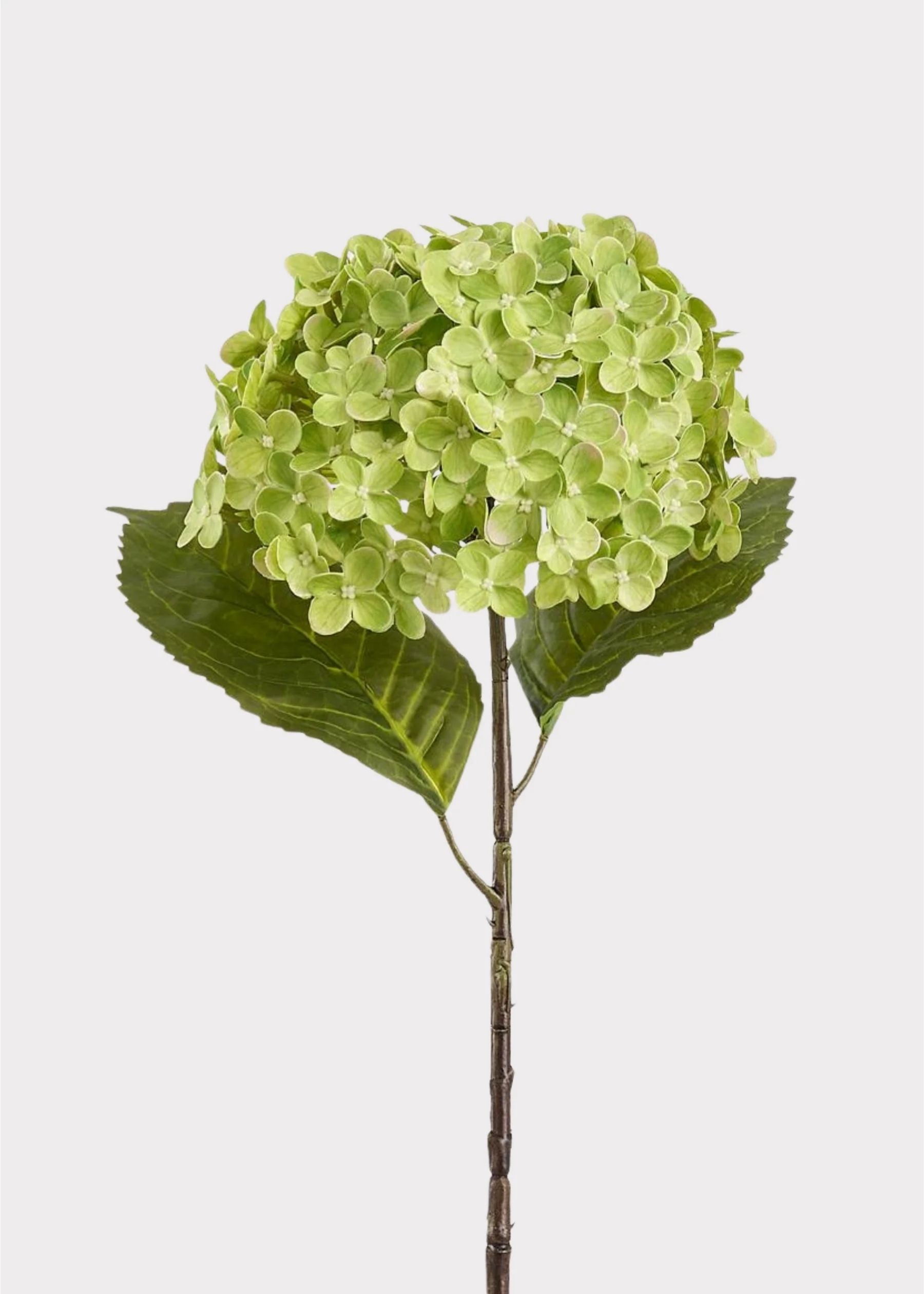 Kunstige hortensia stilke – Salvie grøn