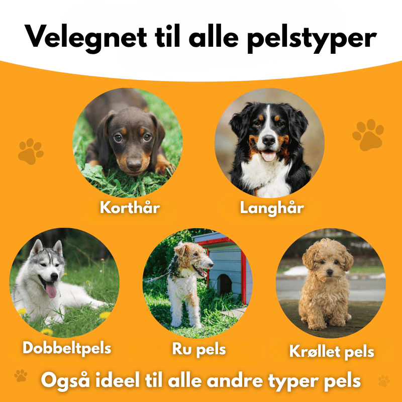 PelsMagnet-børste™ – Den mest effektive løsning til fjernelse af dyrehår