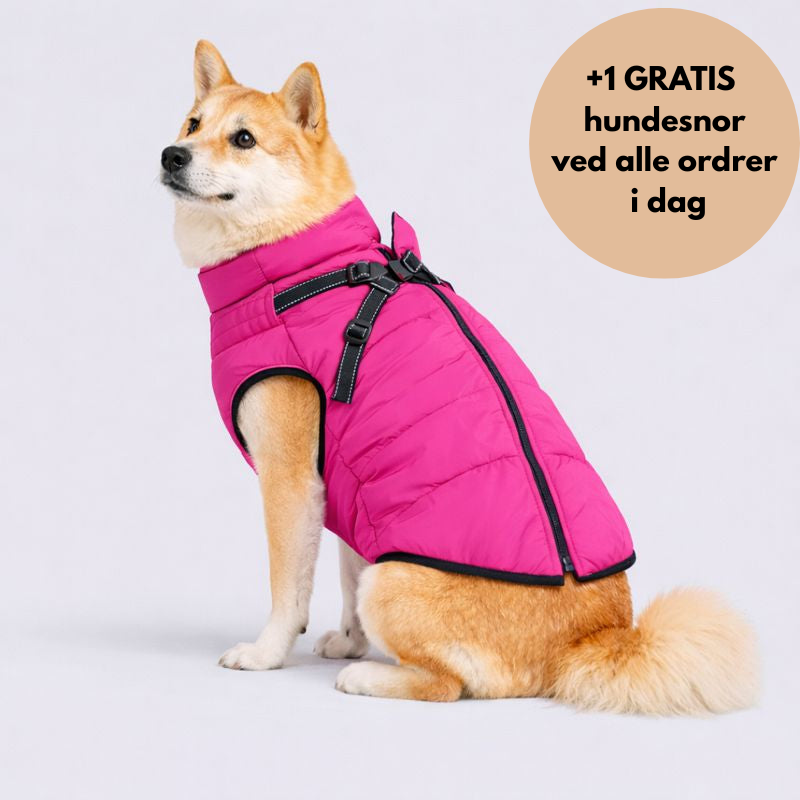 NordVarm™ – 3-i-1 Vinterjakke med Sele (+ Gratis Snor)