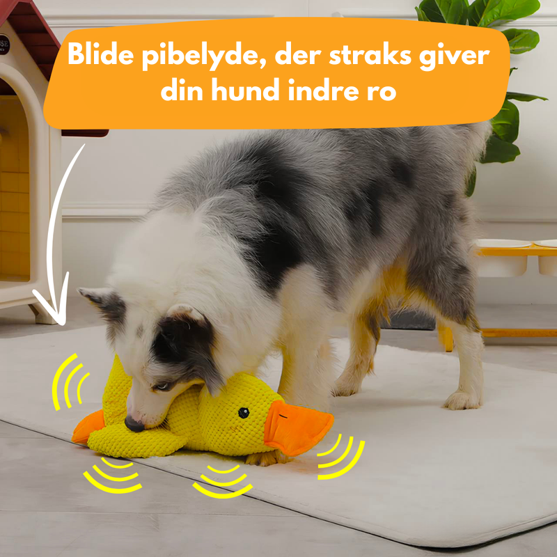 AntiStress-And™ – Giver ro og tryghed til din hund