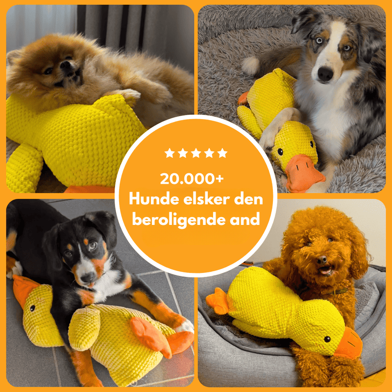 AntiStress-And™ – Giver ro og tryghed til din hund