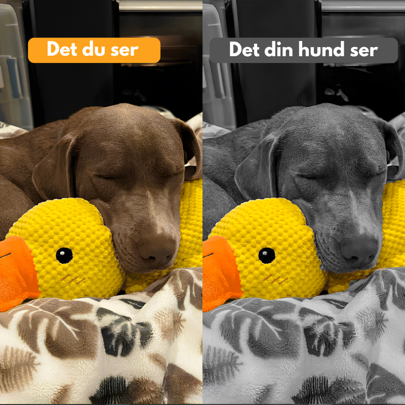 AntiStress-And™ – Giver ro og tryghed til din hund