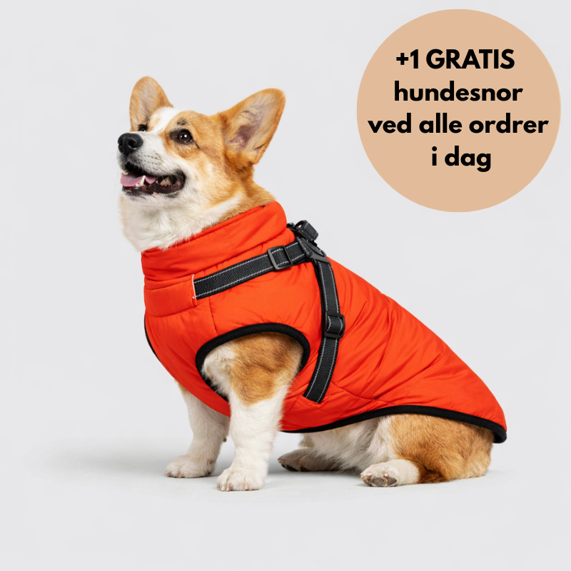 NordVarm™ – 3-i-1 Vinterjakke med Sele (+ Gratis Snor)