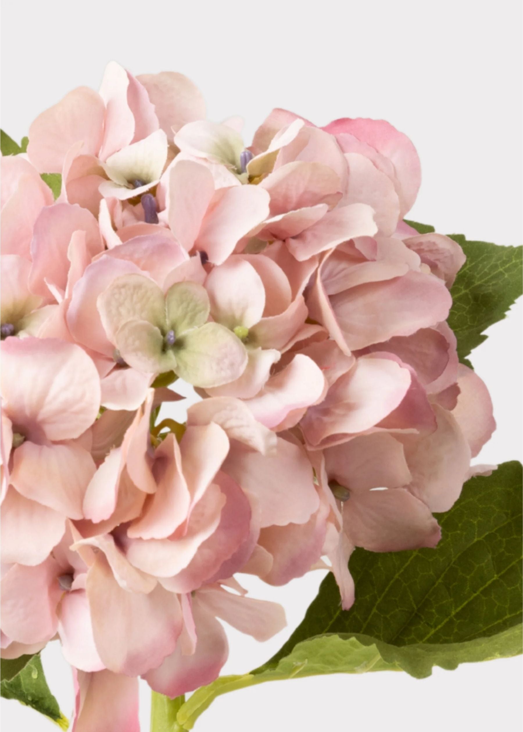 Kunstige hortensia stilke – dekoration