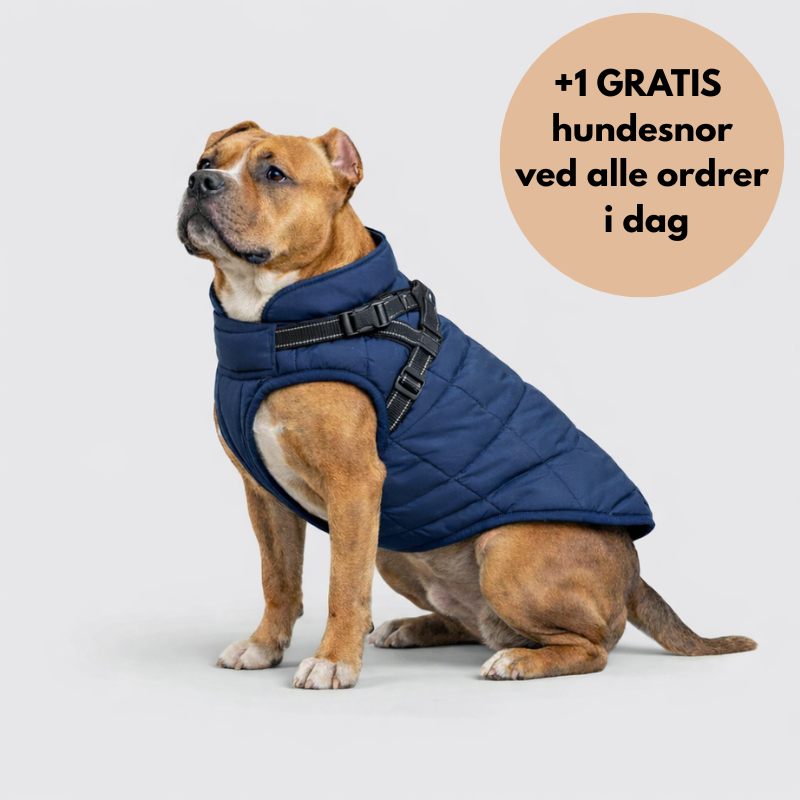 NordVarm™ – 3-i-1 Vinterjakke med Sele (+ Gratis Snor)