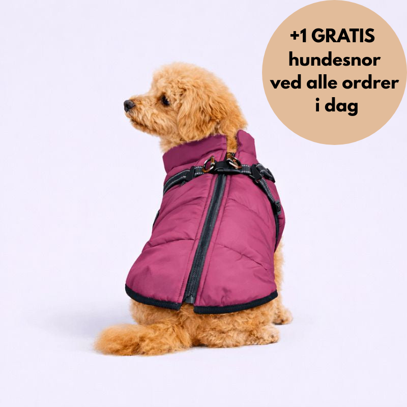 NordVarm™ – 3-i-1 Vinterjakke med Sele (+ Gratis Snor)
