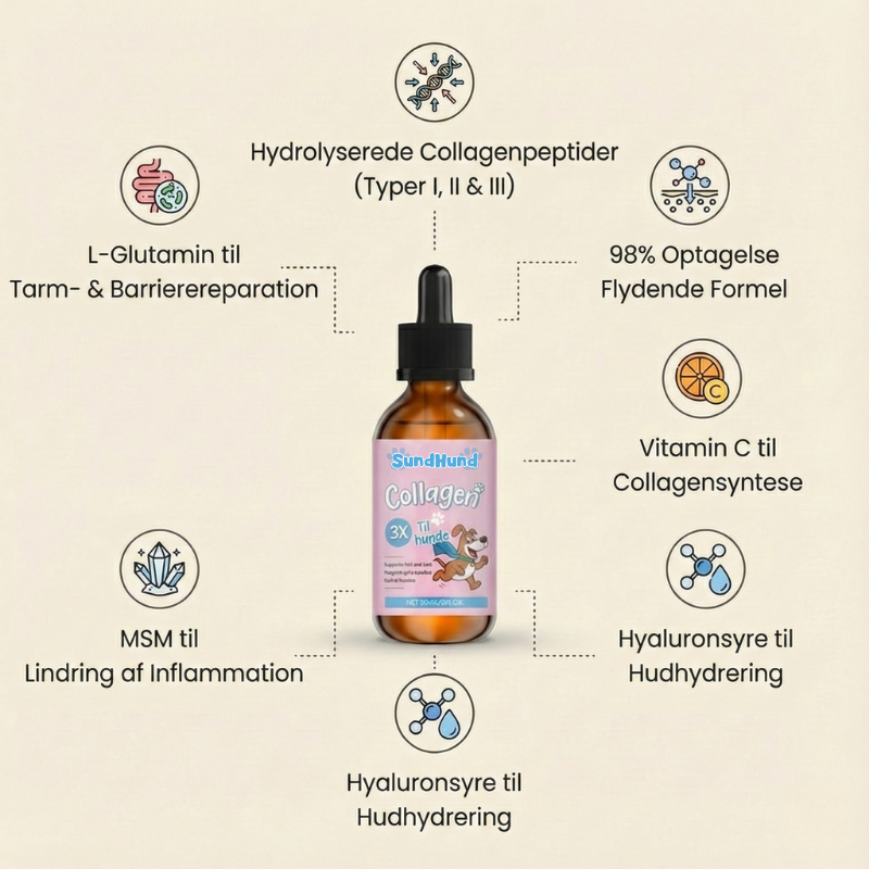 SundHund™ – Premium Flydende Kollagen