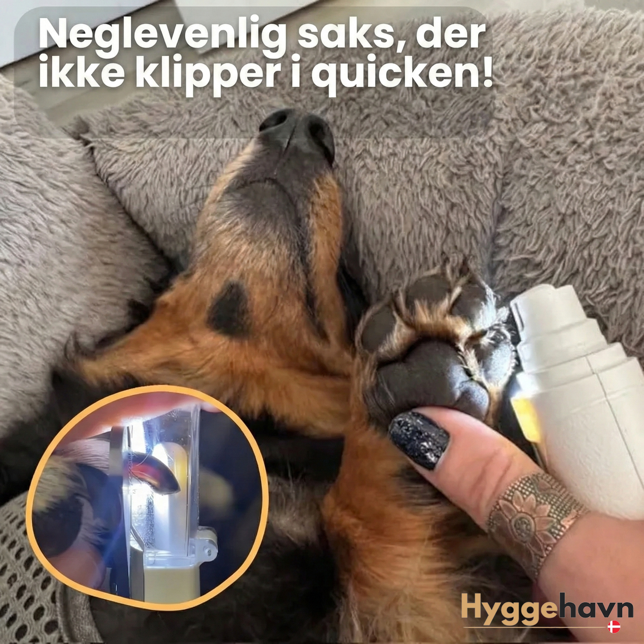 LyseSaks™ Pro – Den 2-i-1 LED Klosaks til Sikker Potepleje uden Frygt