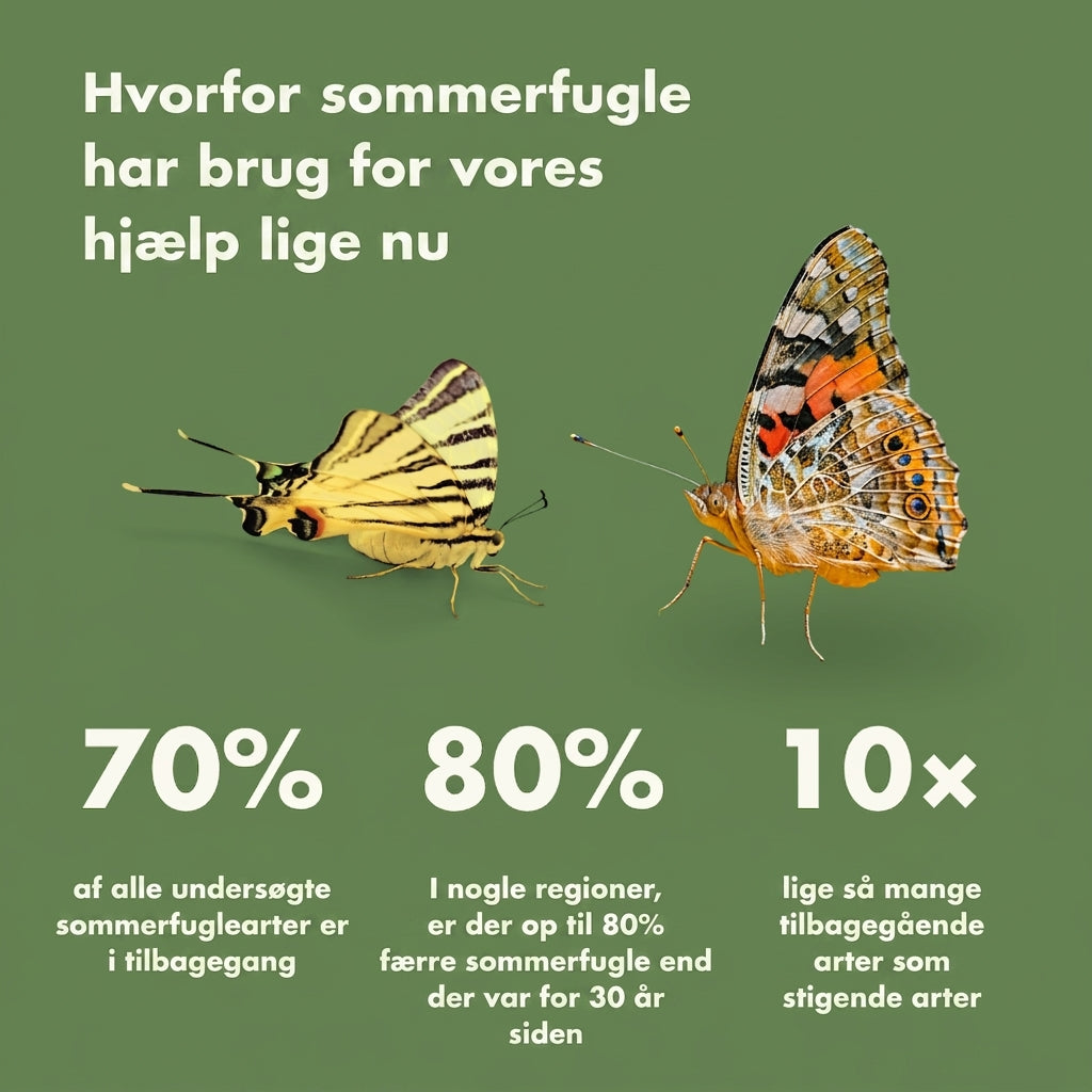 Håndlavede Sommerfuglehus