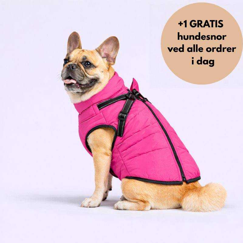 NordVarm™ – 3-i-1 Vinterjakke med Sele (+ Gratis Snor)