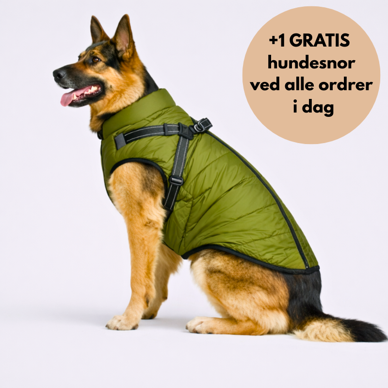 NordVarm™ – 3-i-1 Vinterjakke med Sele (+ Gratis Snor)