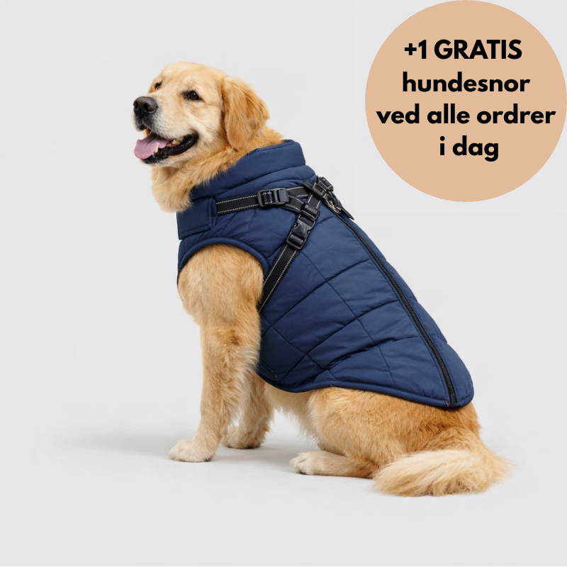 NordVarm™ – 3-i-1 Vinterjakke med Sele (+ Gratis Snor)