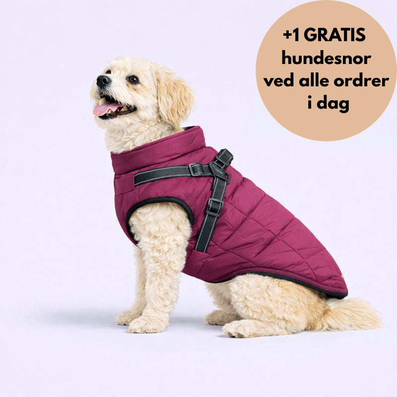 NordVarm™ – 3-i-1 Vinterjakke med Sele (+ Gratis Snor)