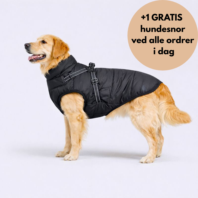 NordVarm™ – 3-i-1 Vinterjakke med Sele (+ Gratis Snor)