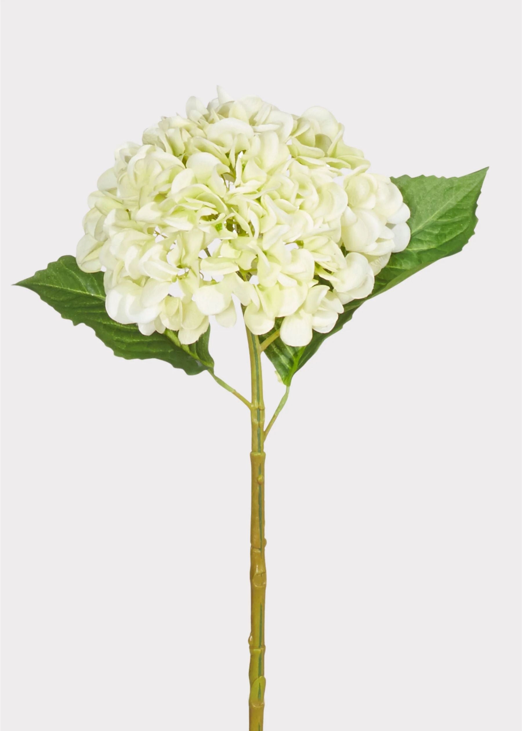 Kunstige hortensia stilke – Elfenbenscreme